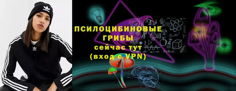 Псилоцибиновые грибы прущие грибы  закладки  Верещагино 